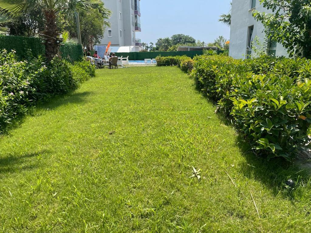 Yelken Apart Hotel アンタルヤ エクステリア 写真